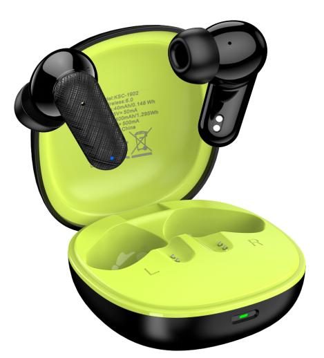 KAKUSIGA KSC-1902 BT 6.0 true wireless earphones